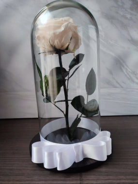 Rosa Preservada