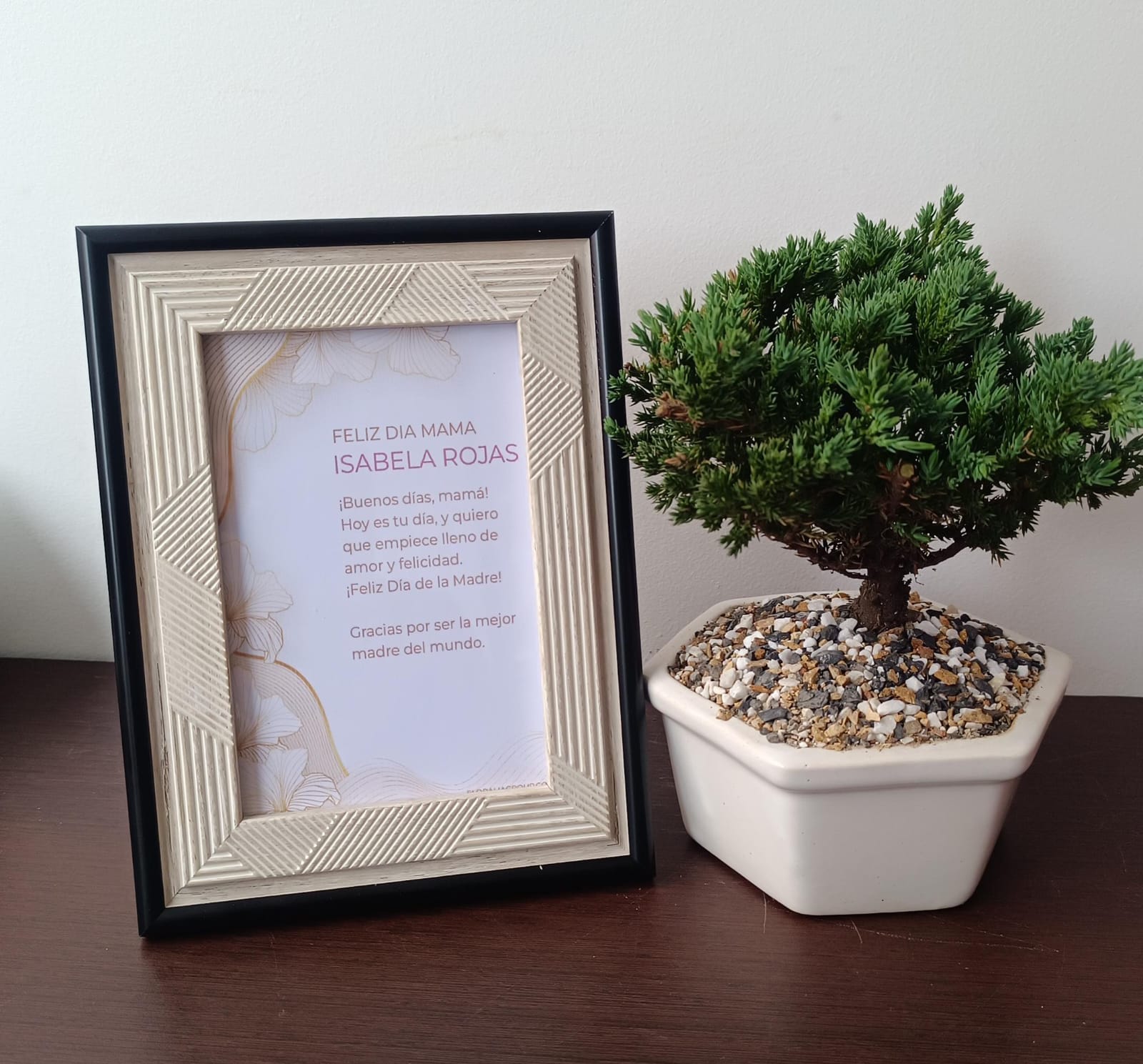 Bonsai especial